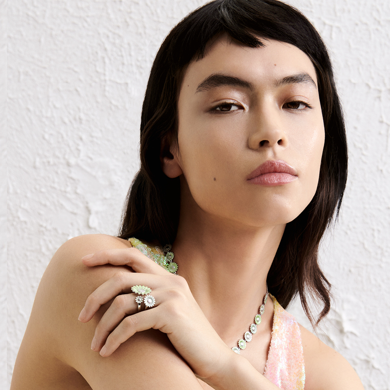 SoMe_images_Daisy_2023_WS_Feed_2