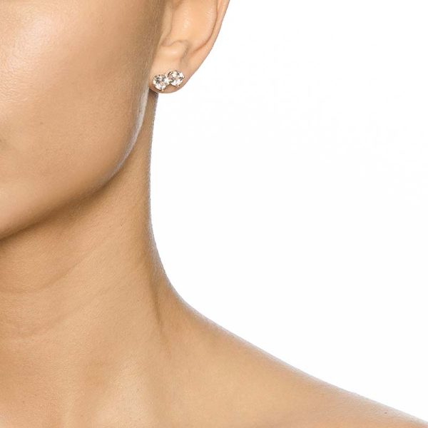 12-100-02088-the-mountain-ear-2-600x600